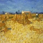 enoughness 3 1248px Vincent Van Gogh Corn Harvest in Provence Google Art Project