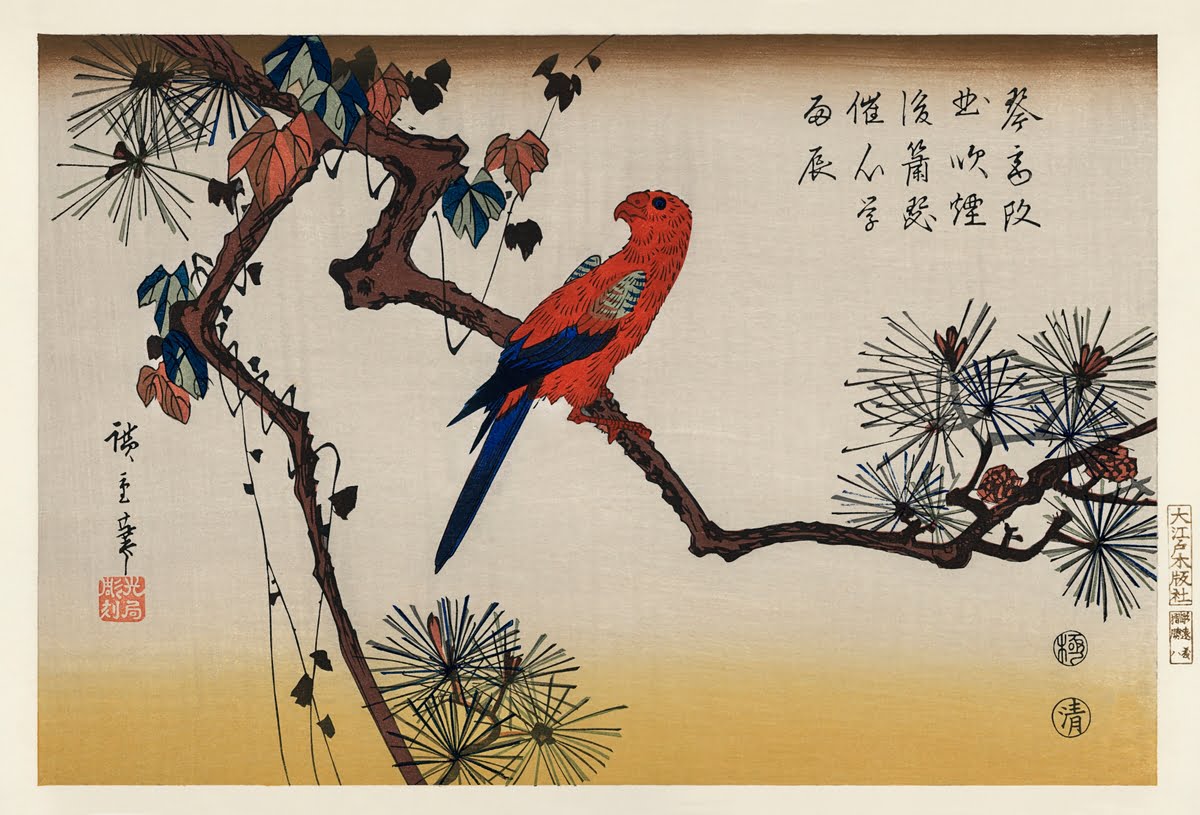 Home 3 Ukiyo-e illustration, Macaw on Pine Branch by Utagawa Hiroshige, also known as Ando Hiroshige (1797-1858).