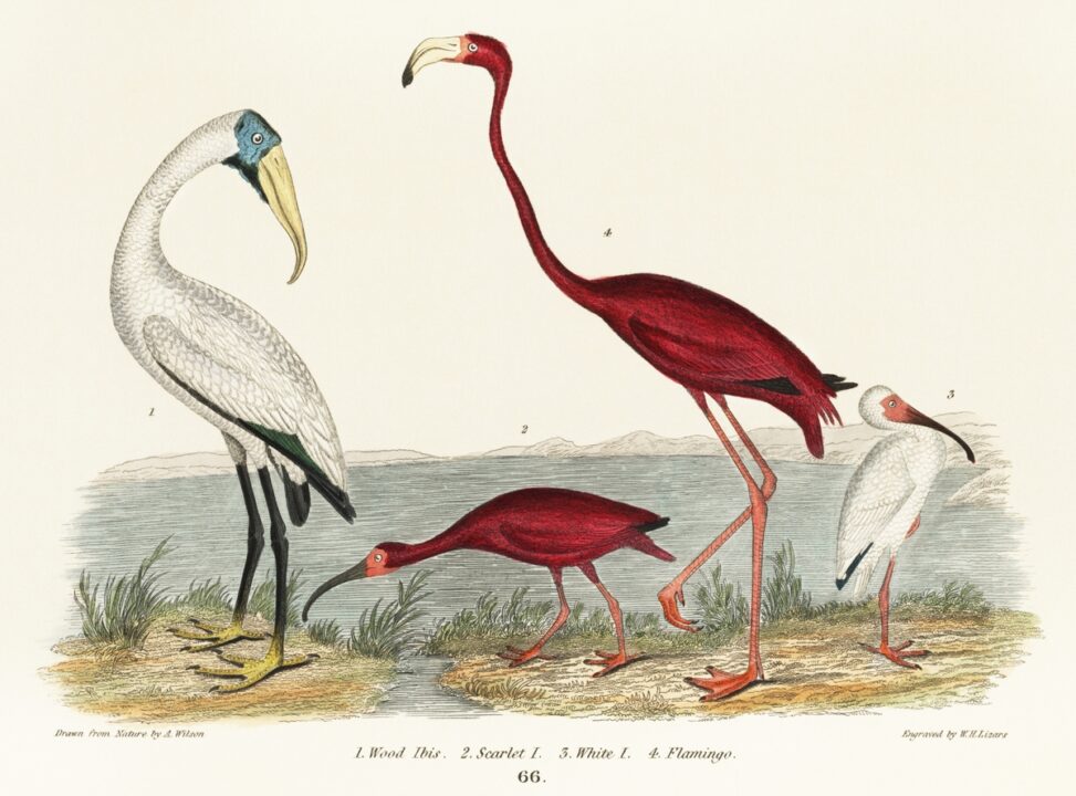 Contemplative poetry 12 image from rawpixel id 431444 jpeg